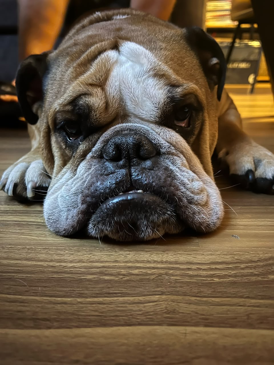 Custom Μπρελόκ Bulldog